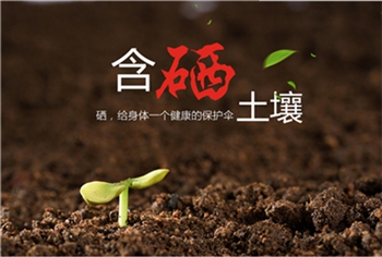 富硒大米产地研究（大米产地研究富硒的方法）-硒宝网