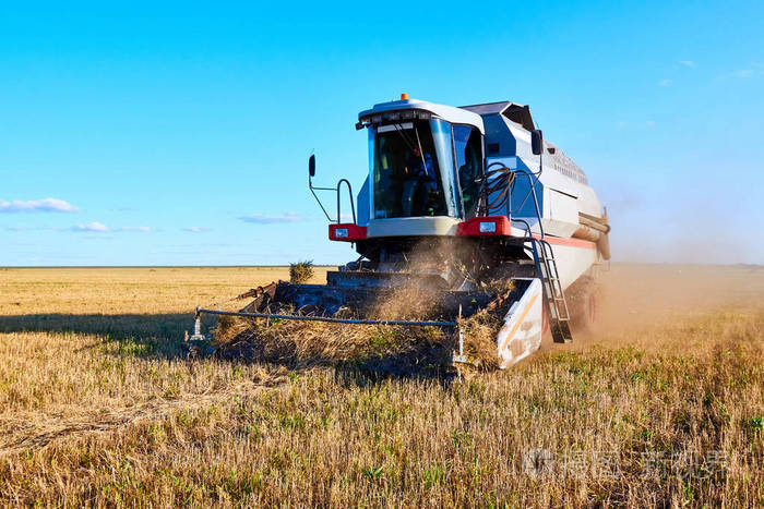 潍坊有机富硒大米（富硒大米好还是有机大米好）-硒宝网