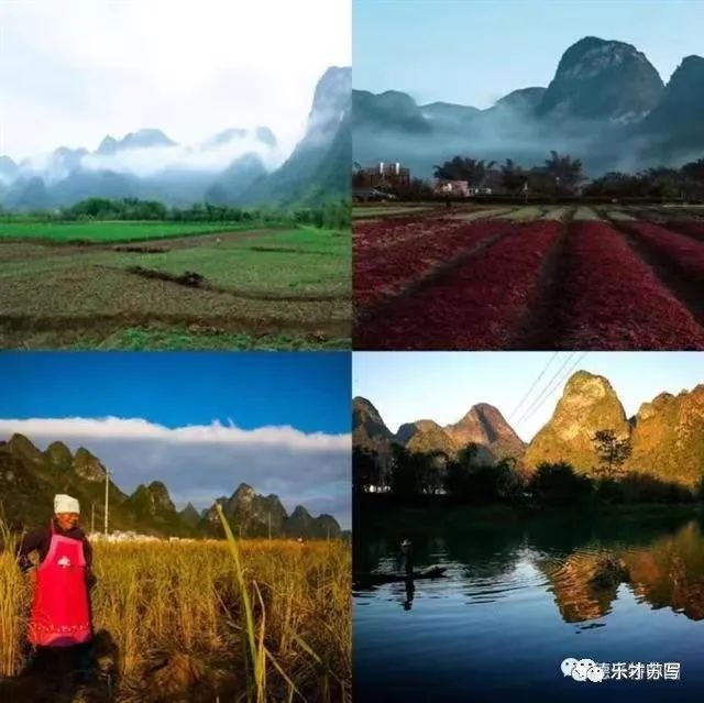 长春富硒有机大米(富硒大米好还是有机大米好)-硒宝网