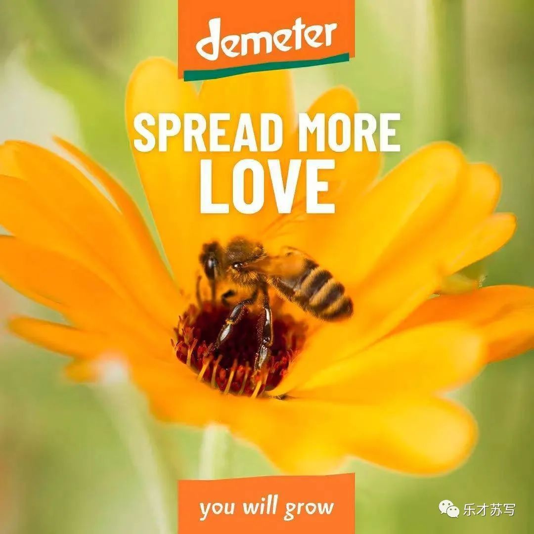 长春富硒有机大米(富硒大米好还是有机大米好)-硒宝网