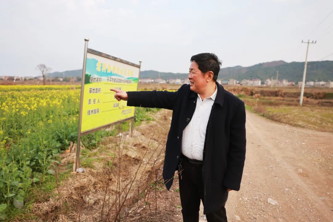 江西生态富硒大米（原生态富硒大米）-硒宝网