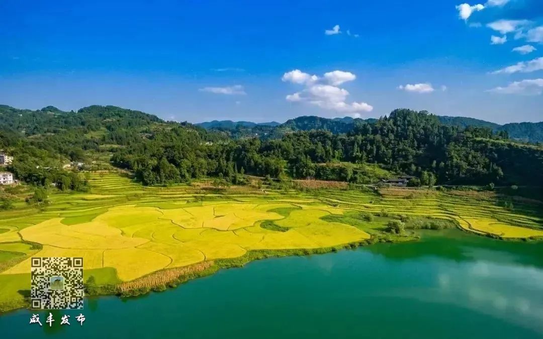 江西生态富硒大米(江西富硒大米多少钱一斤)-硒宝网