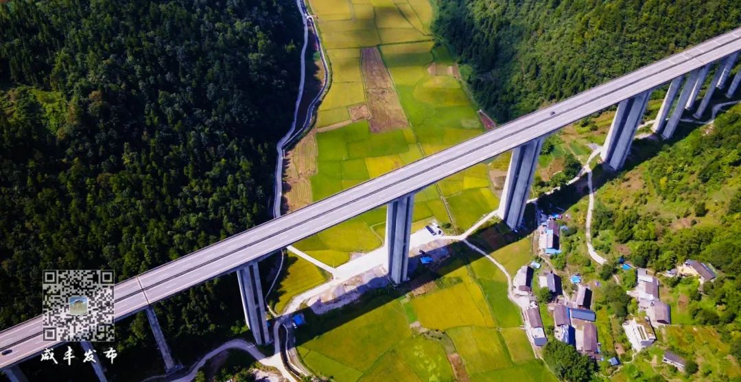 江西生态富硒大米(江西富硒大米多少钱一斤)-硒宝网