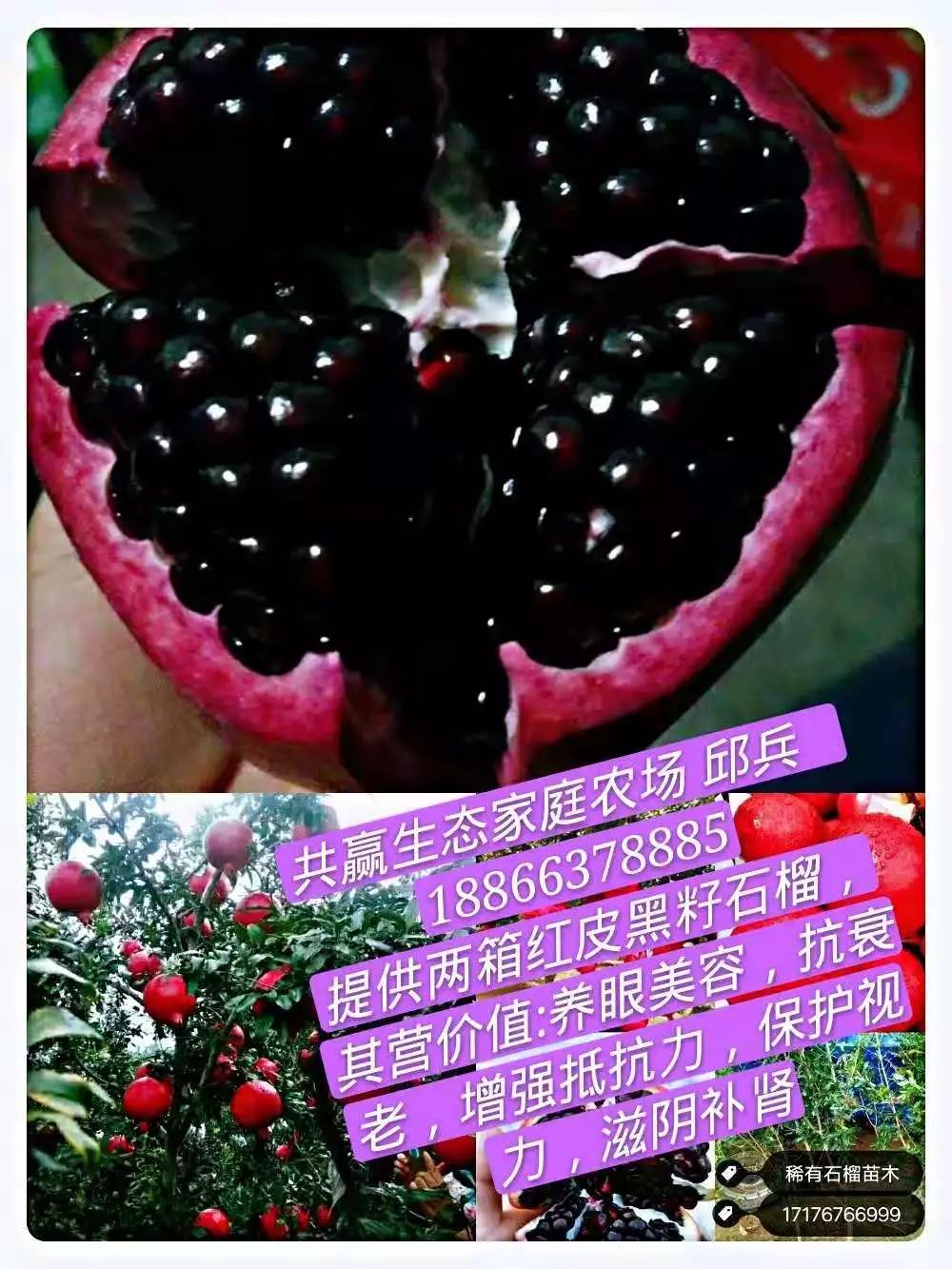 山东莒县富硒大米（郯城富硒大米价格）-硒宝网