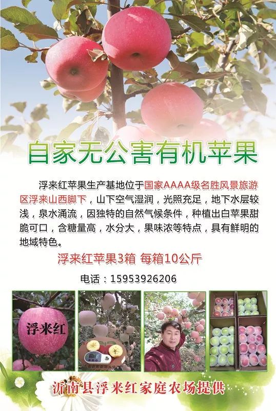 山东莒县富硒大米（郯城富硒大米价格）-硒宝网