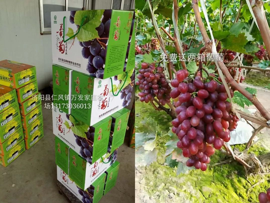 山东莒县富硒大米（郯城富硒大米价格）-硒宝网