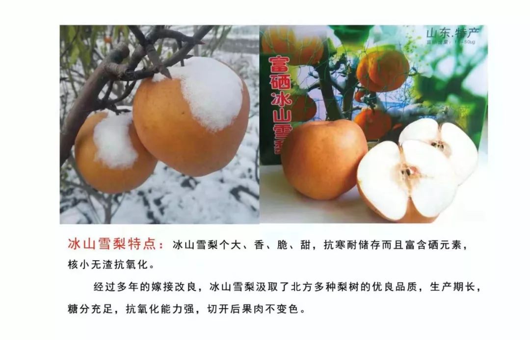 山东莒县富硒大米（郯城富硒大米价格）-硒宝网