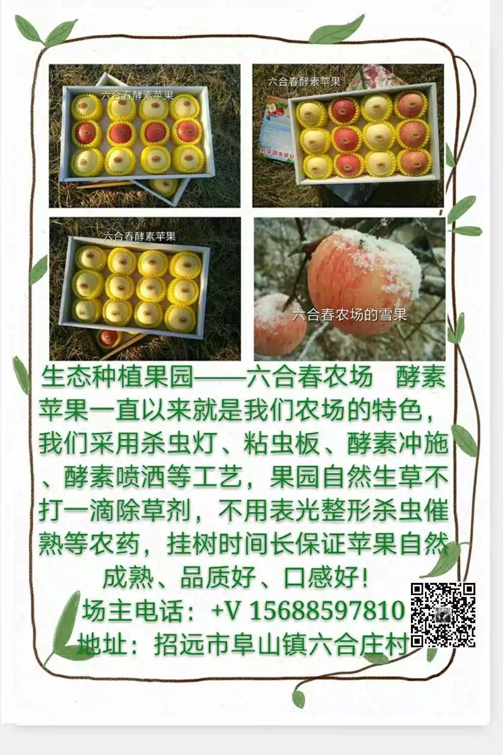 山东莒县富硒大米（郯城富硒大米价格）-硒宝网