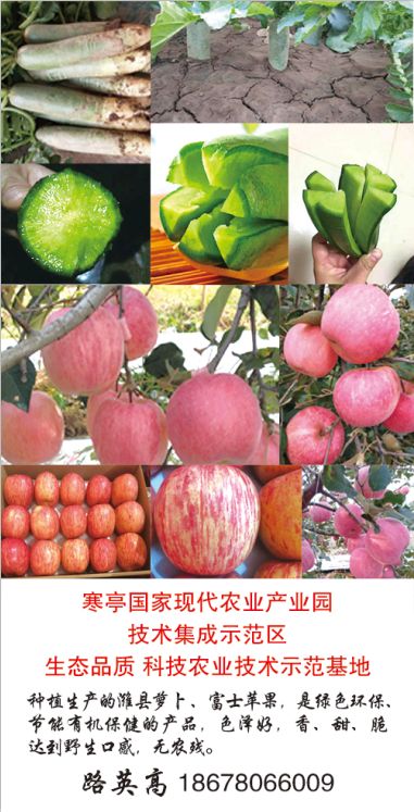 山东莒县富硒大米（郯城富硒大米价格）-硒宝网