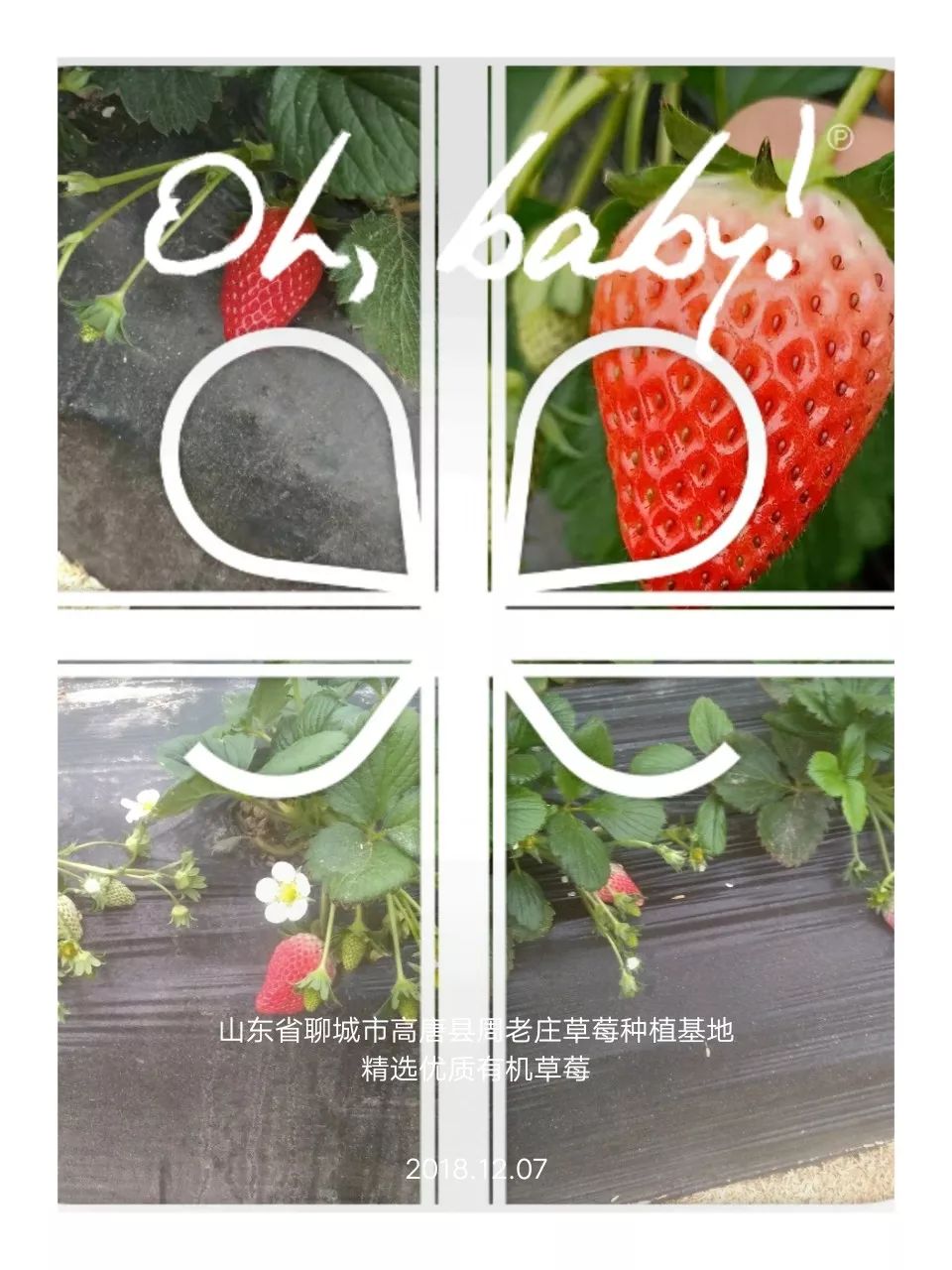 山东莒县富硒大米（郯城富硒大米价格）-硒宝网