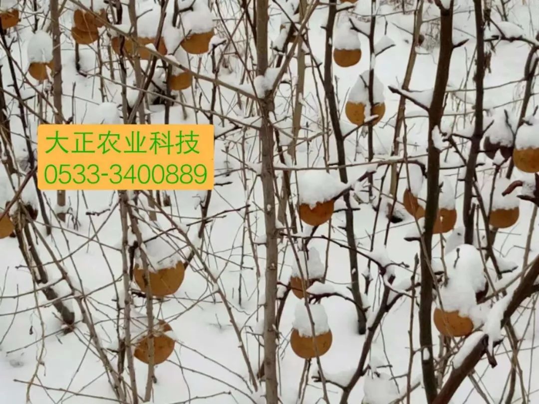 山东莒县富硒大米（郯城富硒大米价格）-硒宝网