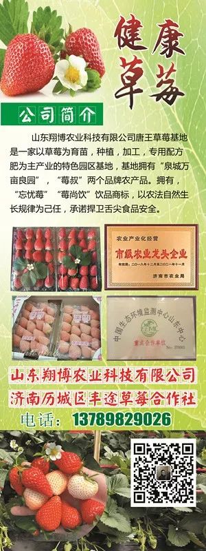 山东莒县富硒大米（郯城富硒大米价格）-硒宝网