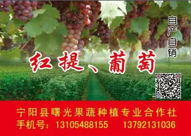 山东莒县富硒大米（郯城富硒大米价格）-硒宝网