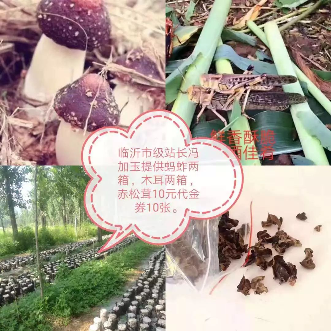 山东莒县富硒大米（郯城富硒大米价格）-硒宝网