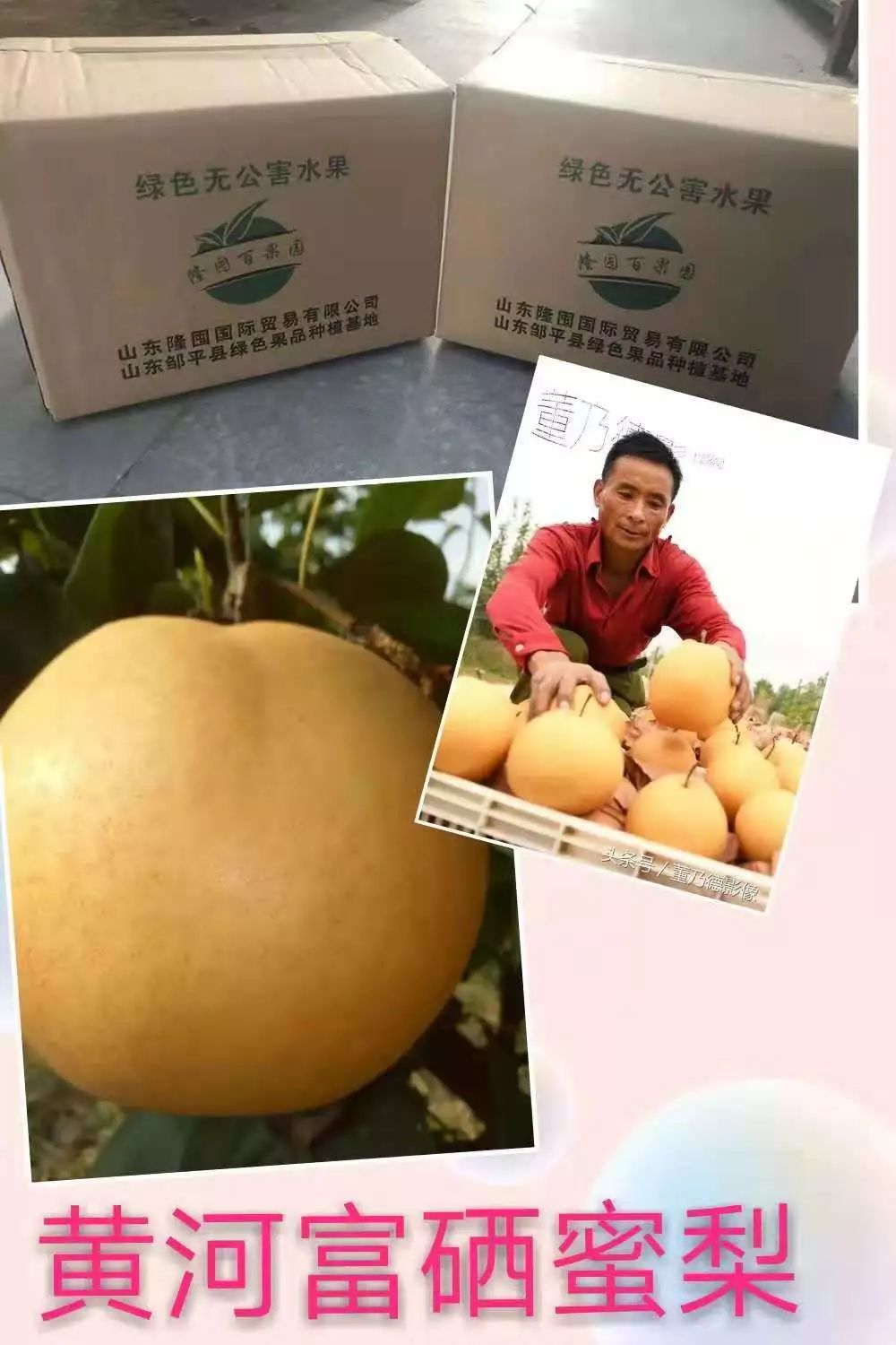 山东莒县富硒大米（郯城富硒大米价格）-硒宝网