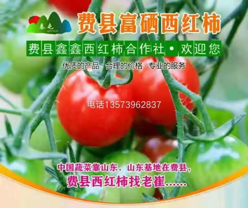 山东莒县富硒大米（郯城富硒大米价格）-硒宝网