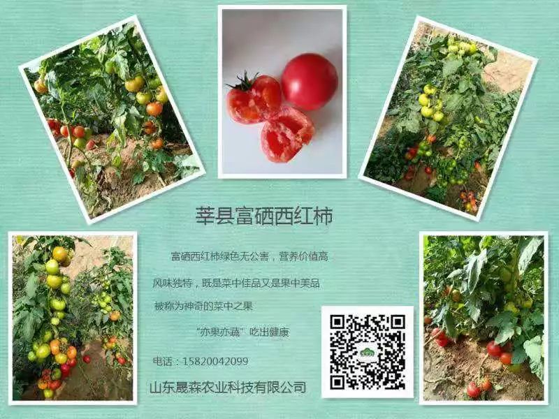 山东莒县富硒大米（郯城富硒大米价格）-硒宝网