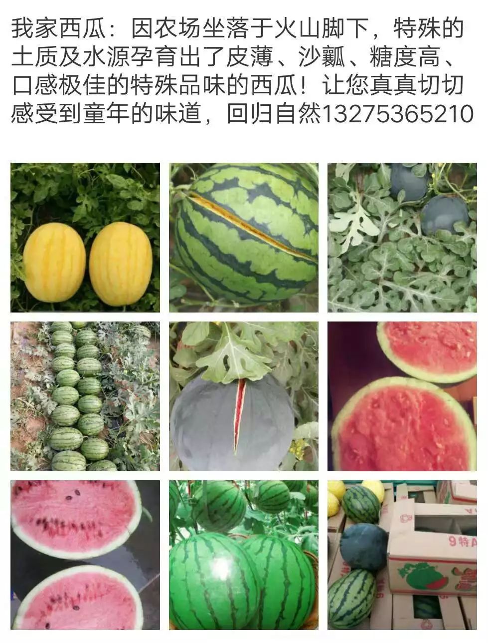 山东莒县富硒大米（郯城富硒大米价格）-硒宝网