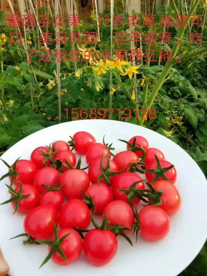 山东莒县富硒大米（郯城富硒大米价格）-硒宝网