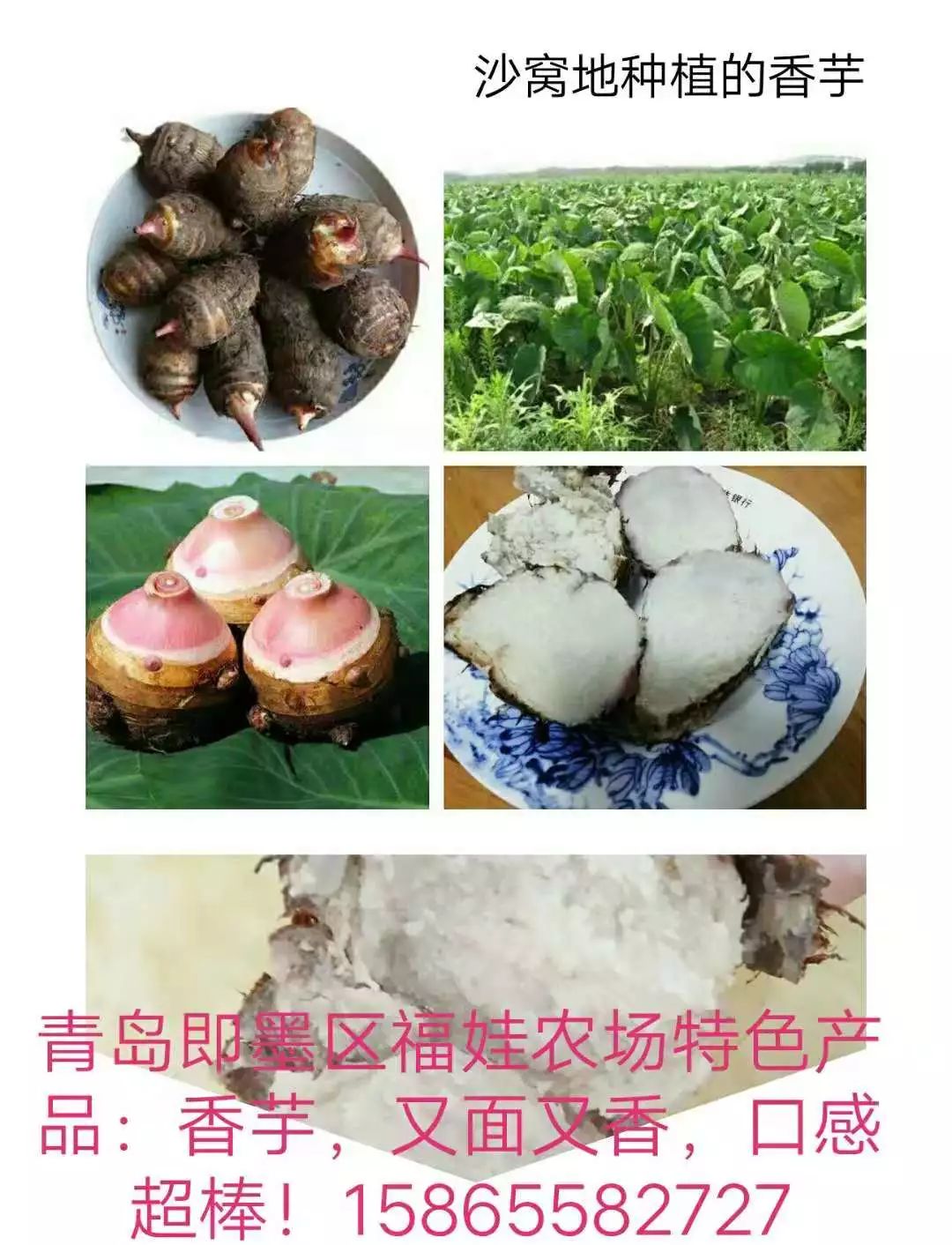 山东莒县富硒大米（郯城富硒大米价格）-硒宝网