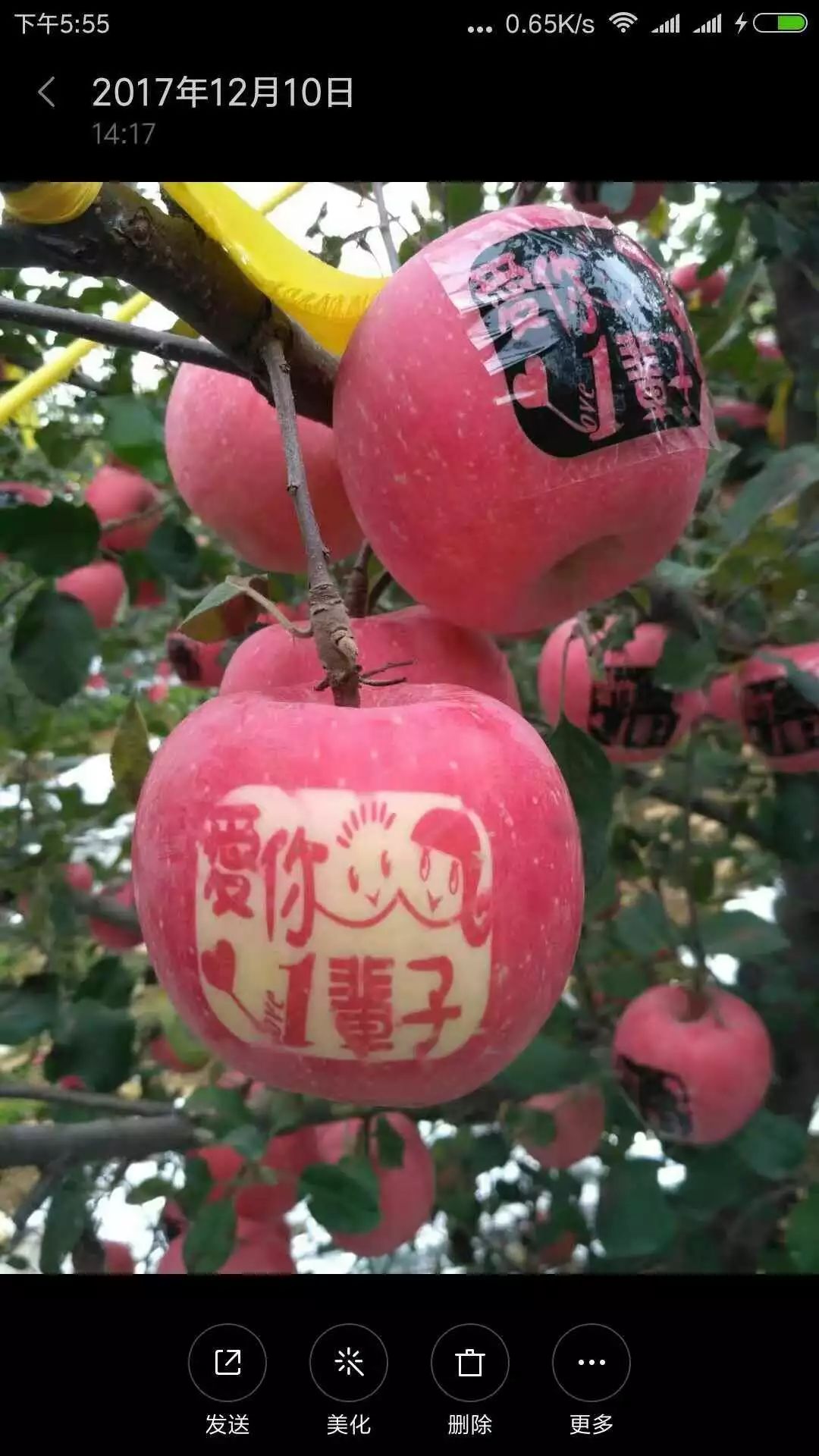 山东莒县富硒大米（郯城富硒大米价格）-硒宝网