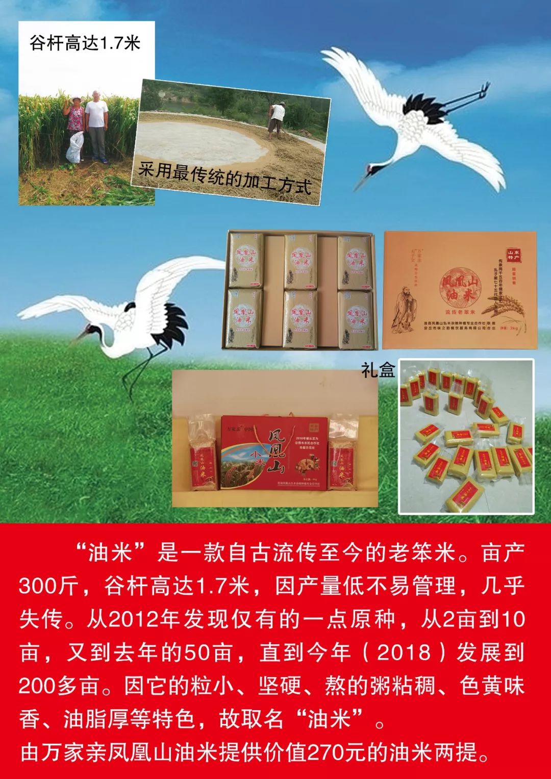 山东莒县富硒大米（郯城富硒大米价格）-硒宝网