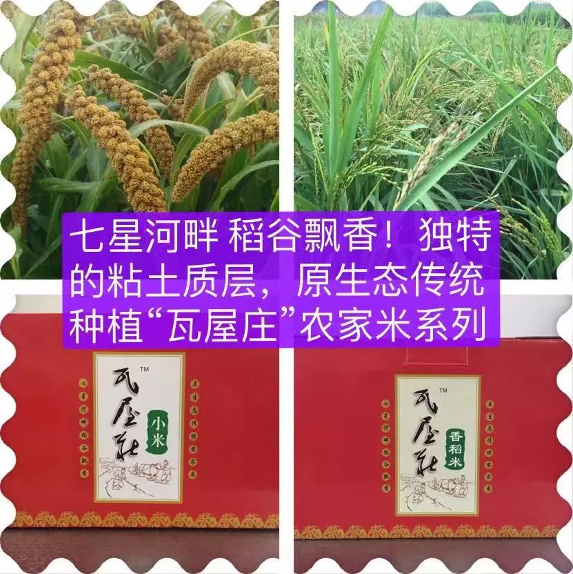 山东莒县富硒大米（郯城富硒大米价格）-硒宝网