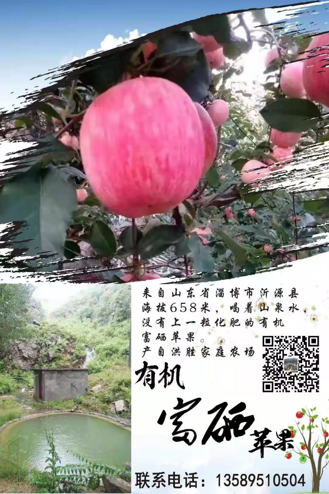 山东莒县富硒大米（郯城富硒大米价格）-硒宝网
