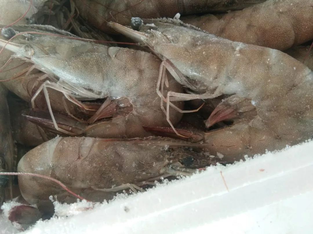 山东莒县富硒大米（郯城富硒大米价格）-硒宝网