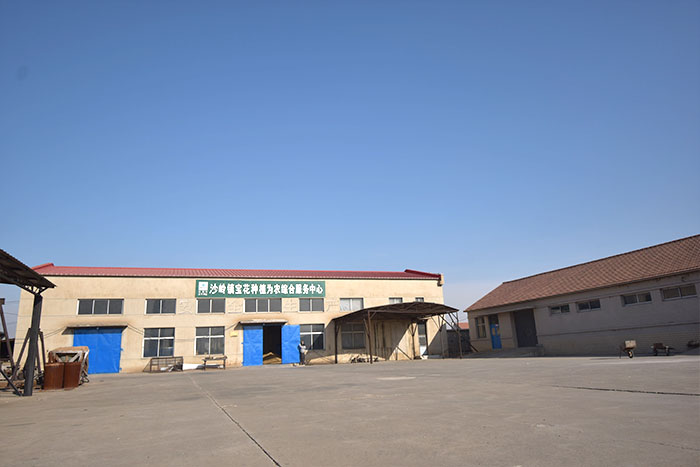 佳木斯富硒锌大米（大米锌佳木斯富硒含量高吗）-硒宝网