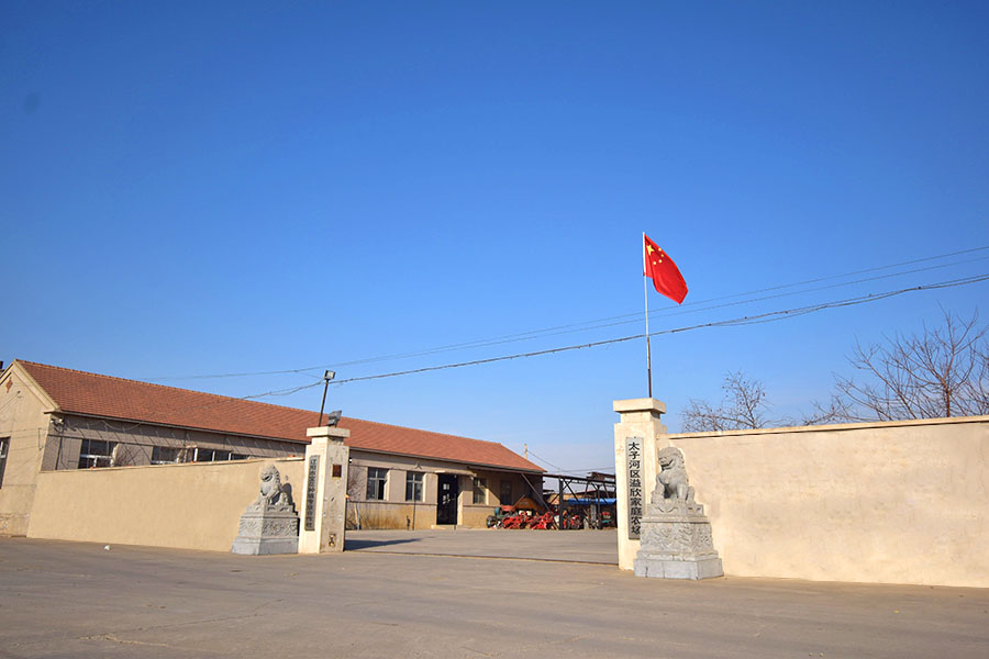 佳木斯富硒锌大米（大米锌佳木斯富硒含量高吗）-硒宝网