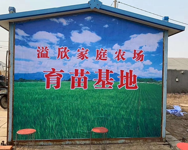 佳木斯富硒锌大米（大米锌佳木斯富硒含量多少）-硒宝网