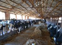 河北隆化富硒大米(隆回富硒大米)-硒宝网