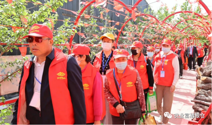 富硒大米相关报道（富硒大米市场分析）-硒宝网