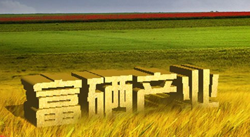 富硒大米建设方案(富硒大米市场分析)-硒宝网