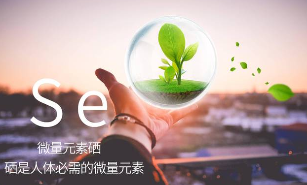 富硒大米建设方案(富硒大米市场分析)-硒宝网