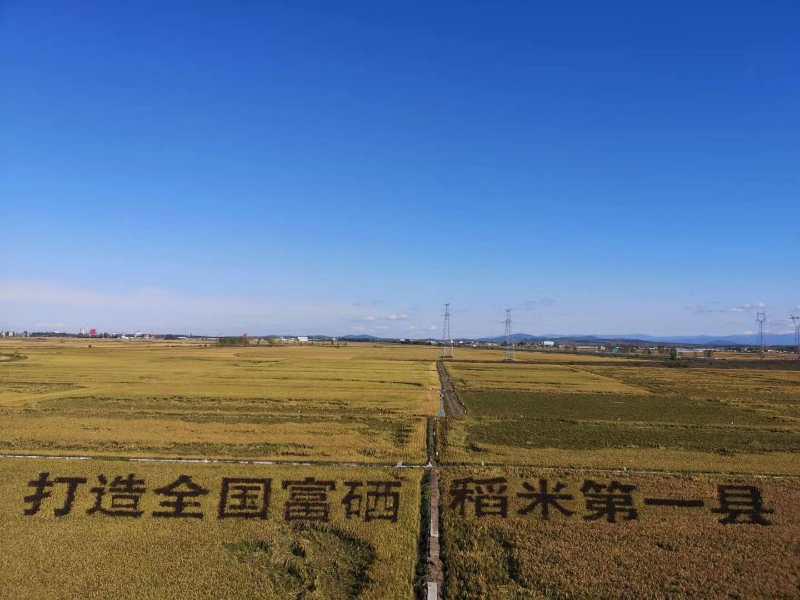 方正富硒大米文章（方正大米含硒）-硒宝网