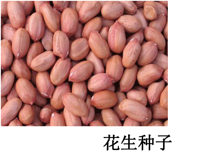 生产富硒大米肥料（大米生产富硒肥料吗）-硒宝网