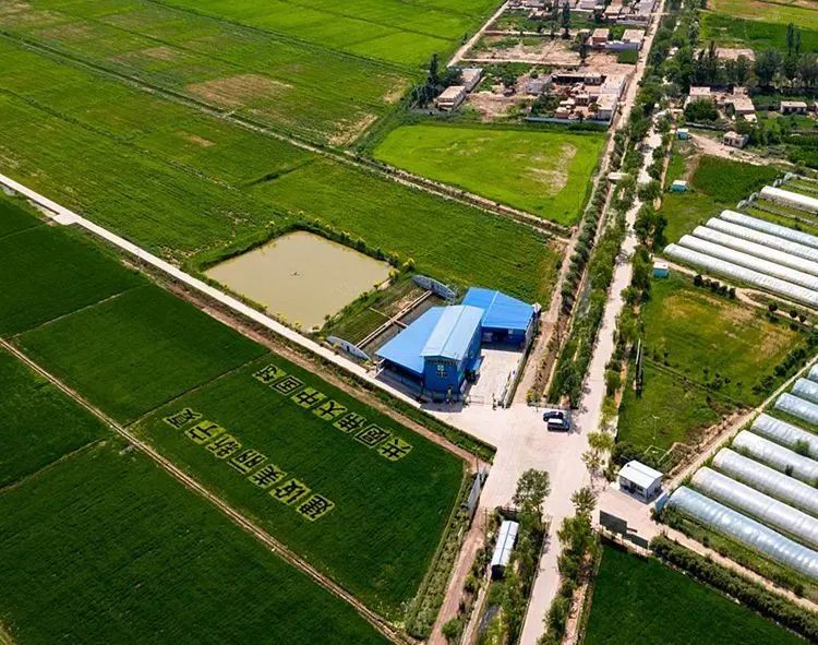 河上田舍富硒大米（富硒大米基地）-硒宝网