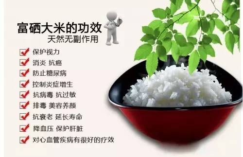 富硒大米哪里有名（富硒大米好在哪）-硒宝网