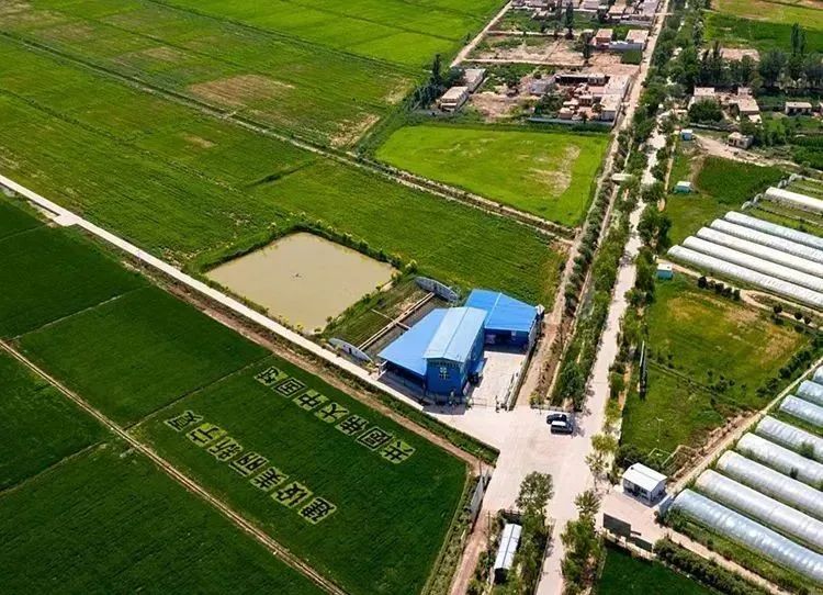 河上田舍富硒大米(富硒优质大米)-硒宝网