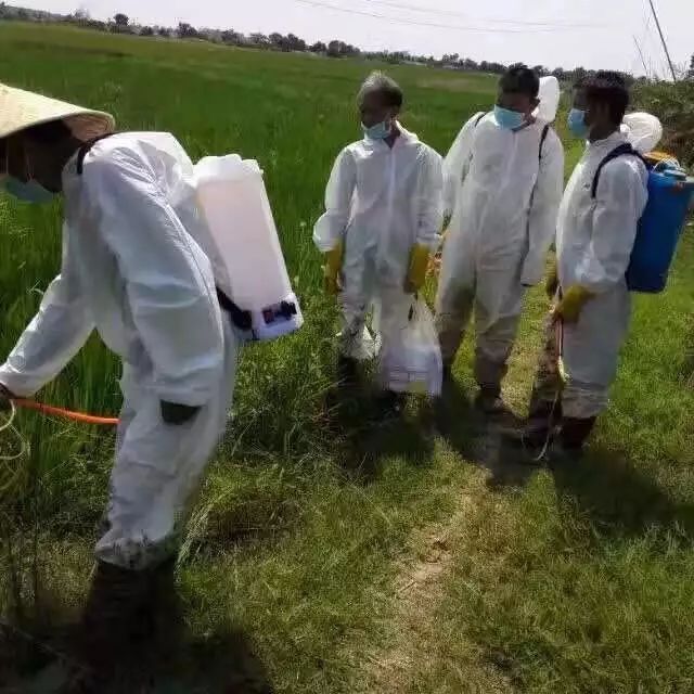 富硒大米哪里有名(富硒大米含量最高的有多少)-硒宝网