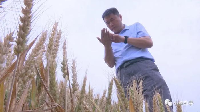 济阳富硒黄河大米（济阳黄河大米产地）-硒宝网