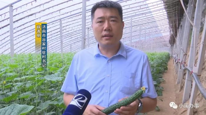 济阳富硒黄河大米（济阳黄河大米产地）-硒宝网