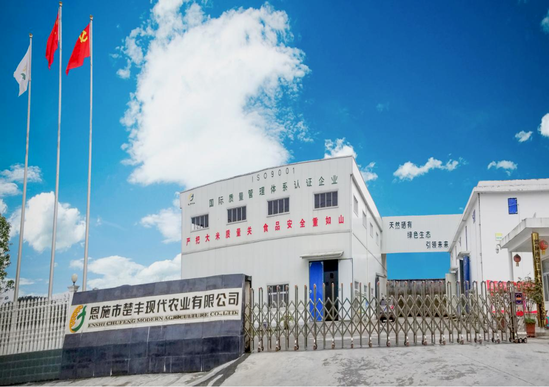 恩施富硒大米生产(大米恩施生产富硒玉米吗)-硒宝网