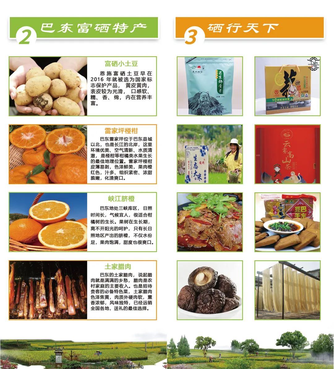 恩施富硒大米生产(大米恩施生产富硒玉米吗)-硒宝网