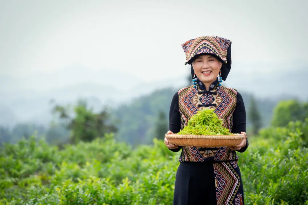 恩施富硒大米生产(大米恩施生产富硒玉米吗)-硒宝网