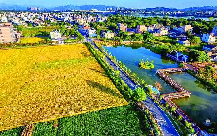 厦门有机富硒大米（富硒大米市场前景）-硒宝网