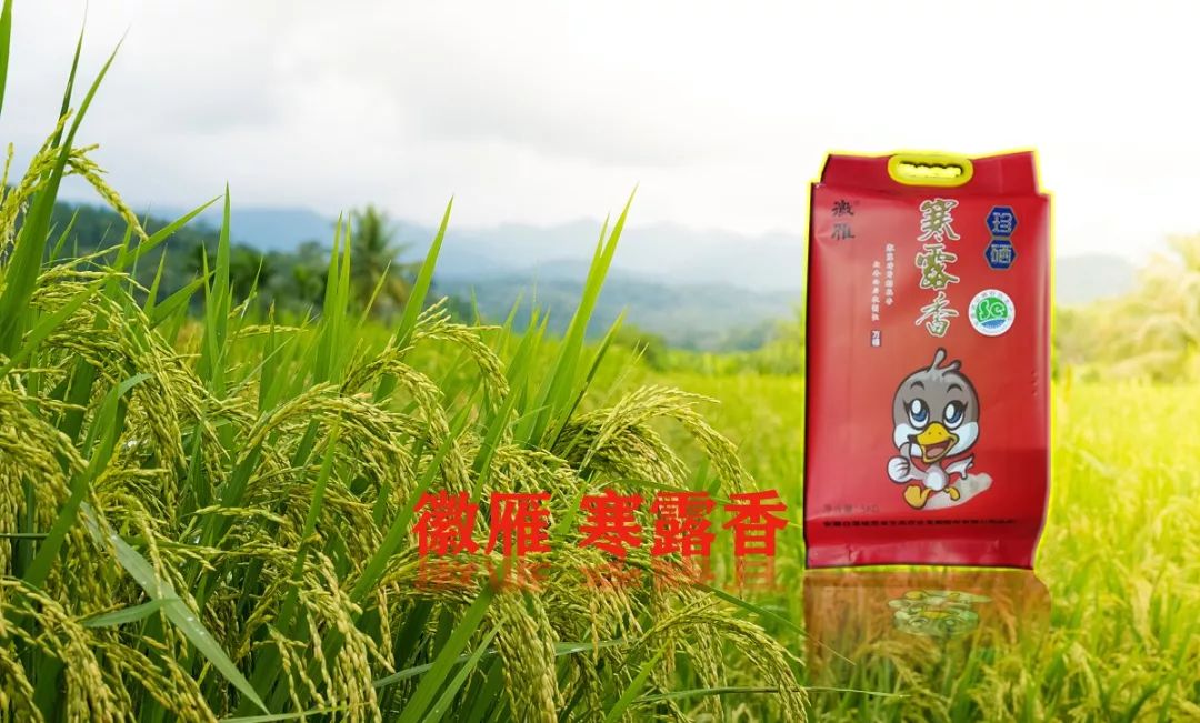 富硒大米精美介绍(大米精美富硒介绍文案)-硒宝网