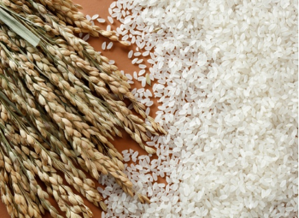 方正富硒大米国标(方正富硒大米哪卖)-硒宝网